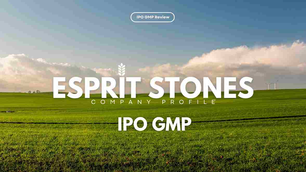 Esprit Stones IPO Hindi